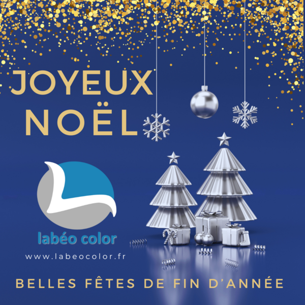 🎄 Joyeux Noël de Labéo Color 🎄