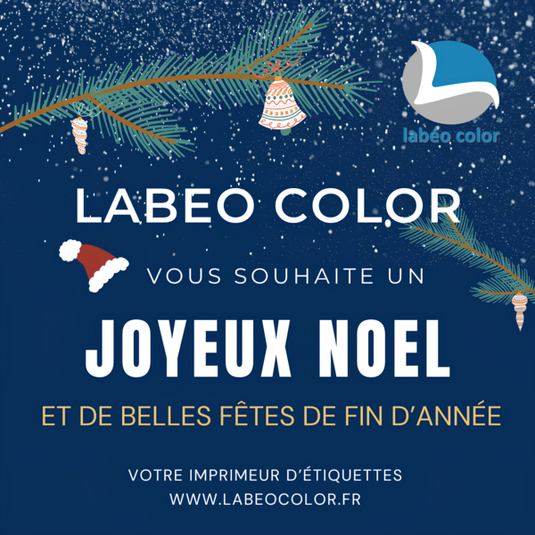🎄 Joyeux Noël de Labéo Color 🎄